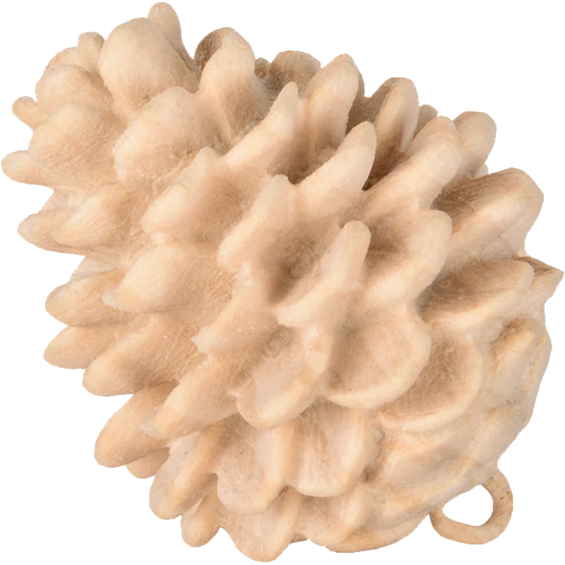 Zirm Alpin Latschenzapfen 4cm Zirbe