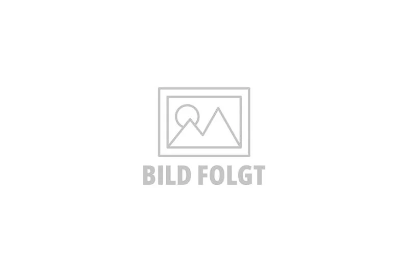 Mischer/Schnecke zu Susi 48940